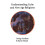 Understanding Cults and New Age Religions 1