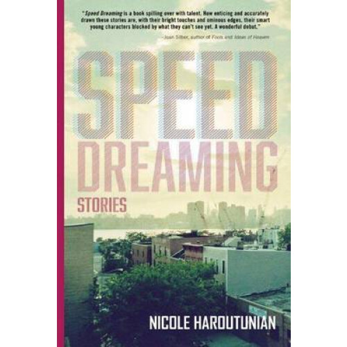 Speed Dreaming