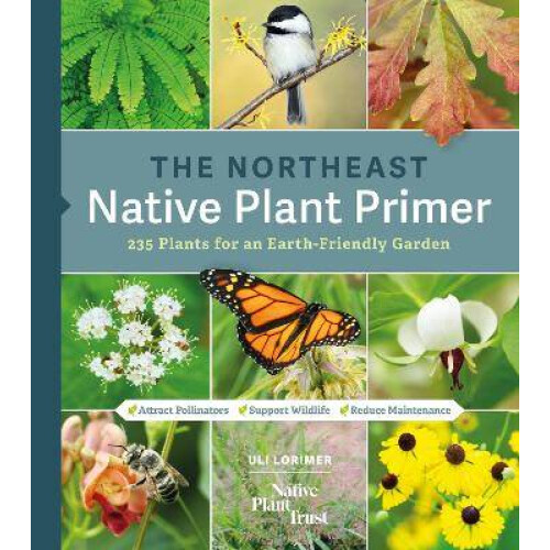 The Northeast Native Plant Primer