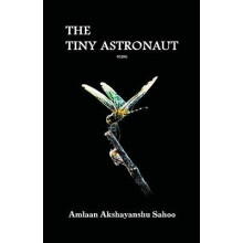 The Tiny Astronaut