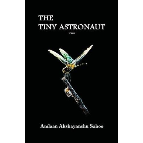 The Tiny Astronaut
