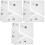 3Sets Durable Acrylic Quilting Templates for Home DIY Stitching Crafts 3