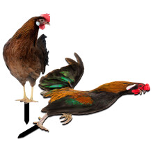 4Pcs Vivid Acrylic Chicken Stakes Outdoor Garden Decoration Yard Signs