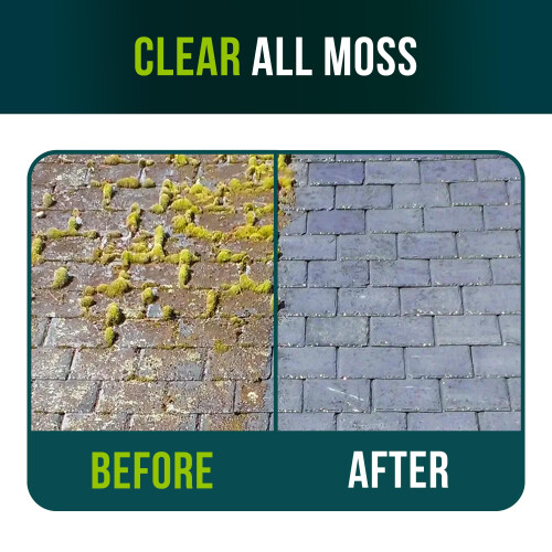 MultiWare Patio Cleaner | Moss Killer For Paths And Drives | Algae Remover | Spr 1