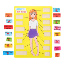 4Ensembles Puzzle Bois Corps Humain Outil Pédagogique Enfants