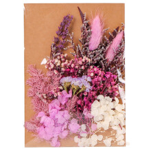 3Pcs Colorful Real Dried Flowers for Resin, Nail Art, and Decoration