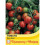 Tomato red alert bush seed by Thompson and Morgan 2