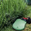 Bosmere Garden Kneeling Mat, Lime Green, G118 2
