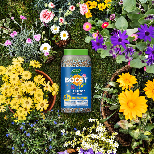 Westland Westland Boost Slow Release Plant Food 750g 1