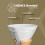 Chemex Chemex Bonded Filter - Circle - 100 ct - Exclusive Packaging 2
