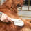 White 90 Rotation Cat Brush with High-Density Needles and ABS Material 1