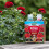 Westland Westland Rose 2-in-1 Feed & Protect 2x500ml 7