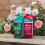 Westland Westland Rose 2-in-1 Feed & Protect 2x500ml 5