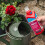 Westland Westland Rose 2-in-1 Feed & Protect 2x500ml 2