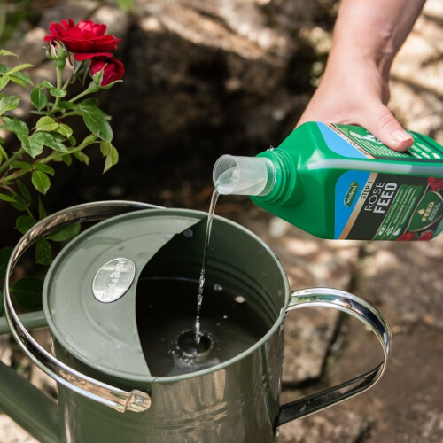 Westland Westland Rose 2-in-1 Feed & Protect 2x500ml 2