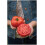 PREMIER SEEDS DIRECT - Tomato - Burlesque - 12 Seeds (Blight Resistant) 2