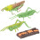 5Sets Realistic Cycle Figurines Kids Learning Toy Green 1