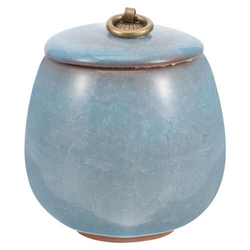 2Pcs Small Ceramic Pet Ashes Urns Sky-Blue Keepsake Storage
