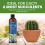 Vitax Vitax Cacti & Succulent Feed Concentrated 250ml 4