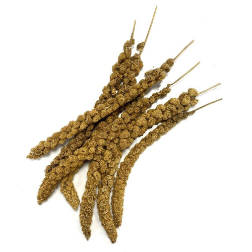 Maltby's Stores Standard Millet Sprays, 1 kg 1