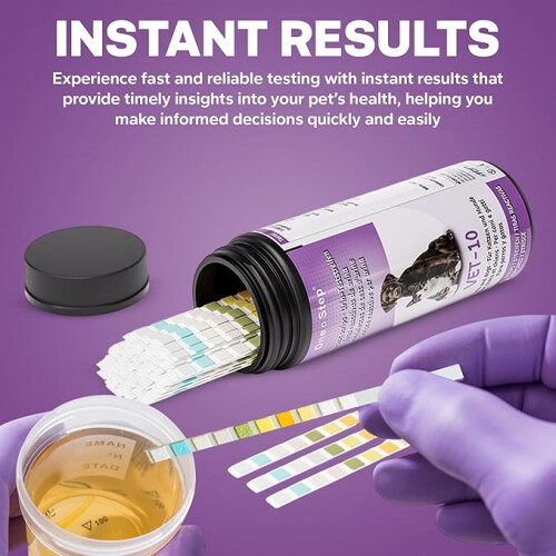 One Step Pet Urine Testing Strips, 50 x Urinalysis Parameter Tests for Dogs, Cats, Vets, Accurate Testing for Veterinarians 1