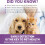 One Step Pet Urine Testing Strips, 50 x Urinalysis Parameter Tests for Dogs, Cats, Vets, Accurate Testing for Veterinarians 6