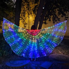 LED-Flügel 500 g 9,8 Fuß (3 m) RGB Mehrfarbig Leuchtend