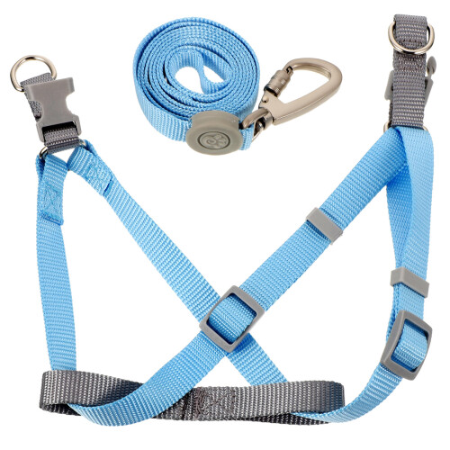 4Sets Puppy Leash and Harness Set Lightweight Blue Adjustable Harness