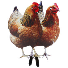 10Pcs Acrylic Chicken Yard Stakes Decorative Lawn Ornament