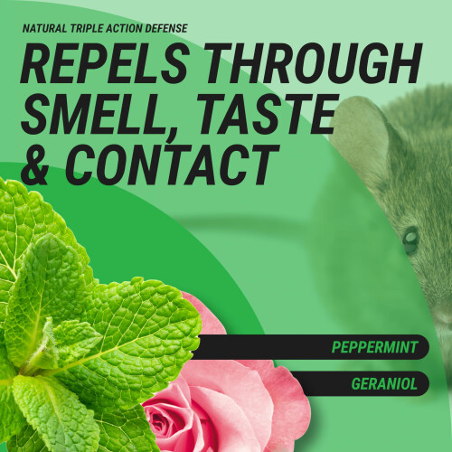 RepellShield Rat & Mouse Repellent Spray - Alternative to Mouse Traps 250ml 2