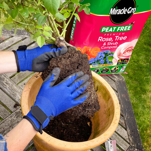 Miracle-Gro Miracle-Gro PEAT FREE Premium Rose, Tree & Shrub Compost, 40 Litres 1