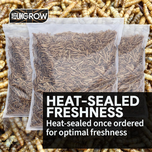 Premium Dried Mealworms, 5L Bag 1