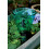 Tildenet Rain Gauge 2