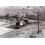 The Lothians' Last Days of Colliery Steam 1