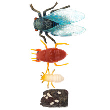 2Sets Compact Simulatie Cicada Set Leren Speelgoed Voor School