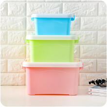 2Pcs Sky-Blue Plastic Storage Case with Buckle Secure Portable Box