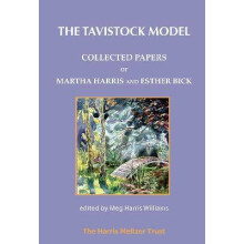 The Tavistock Model
