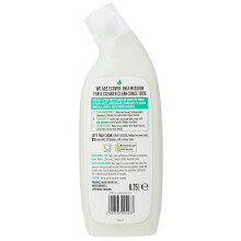 Ecover Pine Mint Cleaner