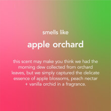 Method Stainless Steel Surface Cleaner Apple Orchard 354 ml