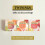 Twinings Twinings Peach  Orange Tea Bags 20 each 5
