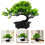 2Pièces Artificielle Bonsai De Bureau Décor Maison 1