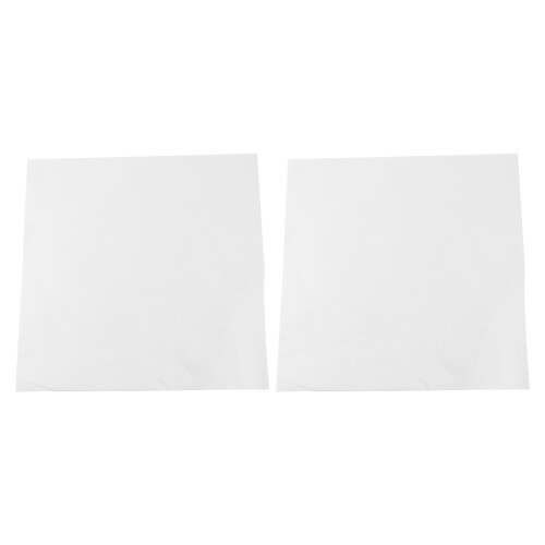 2Pcs Square Rice Paper for Ink Drawing and Calligraphy