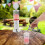 Distributeurs de boissons 5