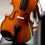 5Pièces Accessoires Humidificateurs Violin Vert Pour Instrument 7