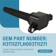 Car Ignition Coil Car Accessories H3T11271 H003T11271 for