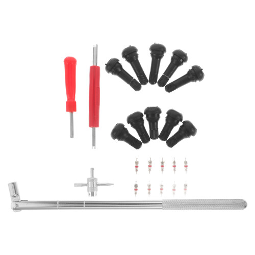 144Pièces Valve Core Remover Installer Kit Pour Réparation Auto