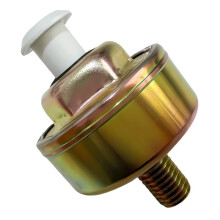 10456018 Front Knock Detonation Sensor New 10456288 for 1987-1994 Blazer 2002-2008 SC430 1997699 1PCS