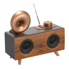 Tragbarer -Lautsprecher mit AM/FM-Radio, USB/TF/AUX-Player, Wiederaufladbarem Retro-Lautsprecher für Zuhause und Draußen