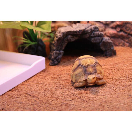 2Stk Terrarium-Matte Kokosfaser Und Hygienisch 1