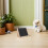 2Pièces Rampe Bois Pour Animaux D'intérieur Avec Surface Antidérapante 3